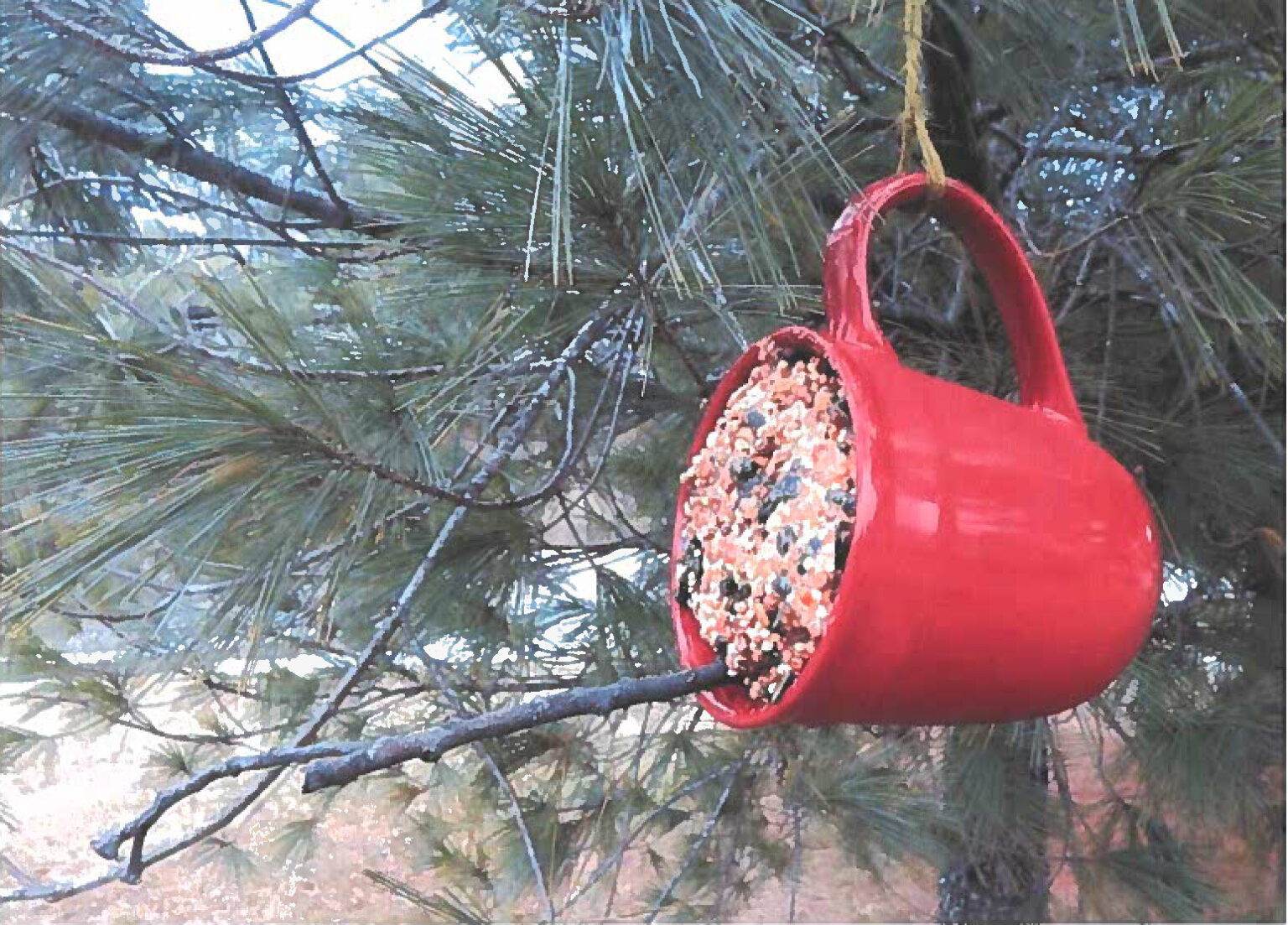 Adult Crafternoon Coffee Mug Bird Feeder Elkhart Public Library